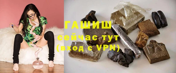 эйфоретик Ельня