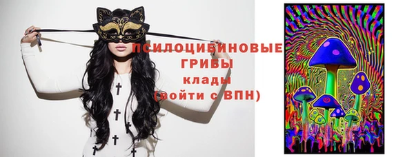 стаф Яровое