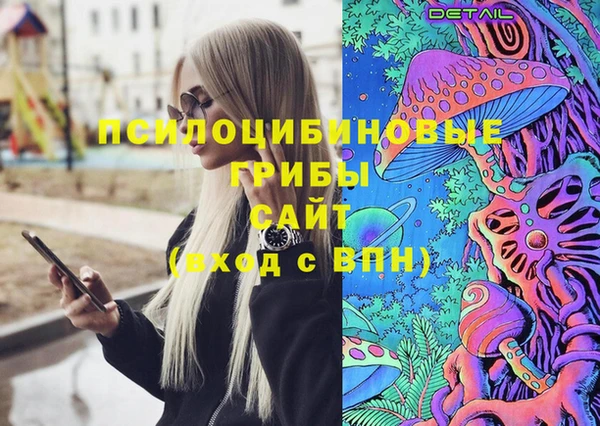 гидропоника Елизово