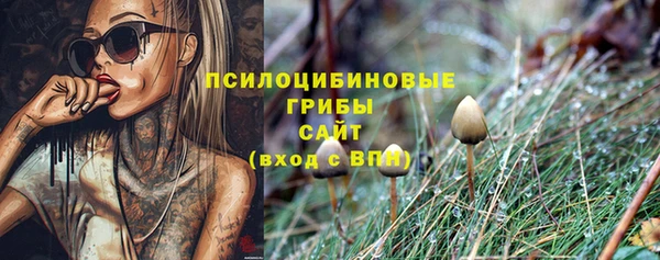 гидропоника Елизово