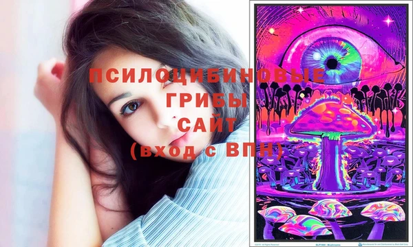 гидропоника Елизово